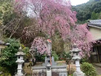 慈雲寺の{uncategorized: "未分類", other: "その他", undefined: "問題あり", building: "その他建物", grave: "お墓", sacred_gate: "鳥居", guardian: "狛犬", statue: "像", buddha: "仏像", history: "歴史", nature: "自然", garden: "庭園", animal: "動物", pagoda: "塔", temizu: "手水舎", mountain_gate: "山門・神門", sanctuary: "本殿・本堂", subordinate: "末社・摂社", art: "芸術", scenery: "景色", jizo: "地蔵", ema: "絵馬", goshuin: "御朱印", omikuji: "おみくじ", items: "授与品その他", amulet: "お守り", goshuincho: "御朱印帳", eats: "食事", festival: "お祭り", votive_dance: "神楽", shichigosan: "七五三参", wedding: "結婚式", experience: "体験その他", initially: "初詣", around: "周辺", anti_infection: "感染症対策"}