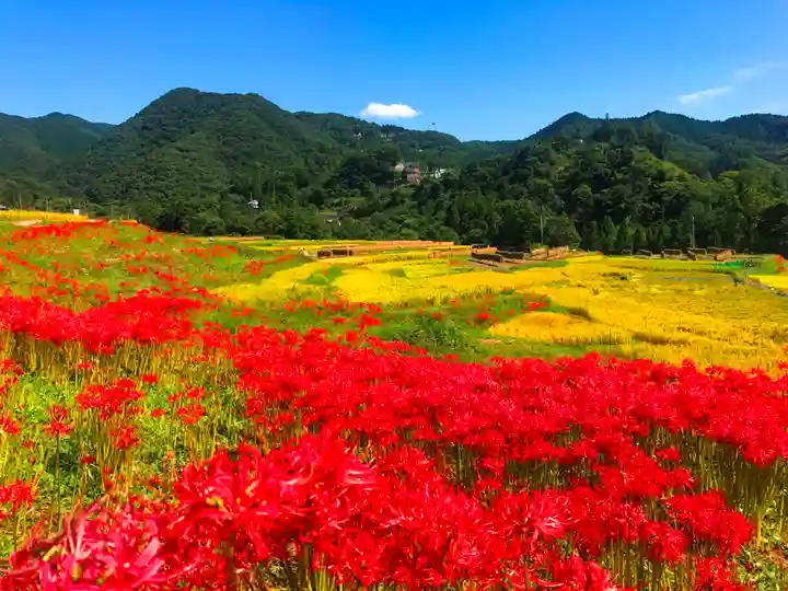 【公式】龍門院常楽寺(秩父札所十一番)の自然