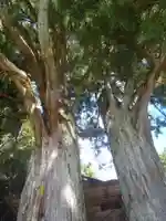 八幡神社(愛知県)