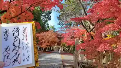光明寺（粟生光明寺）(京都府)