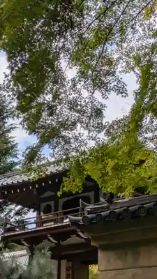 龍翔寺（萬歳龍翔禅寺）(京都府)