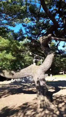 岩内神社の自然