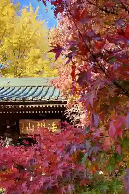 広徳院の山門・神門