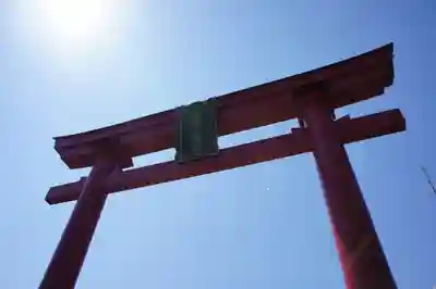 越中護国八幡宮の鳥居