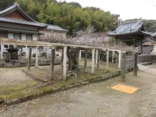 藤井寺(徳島県)