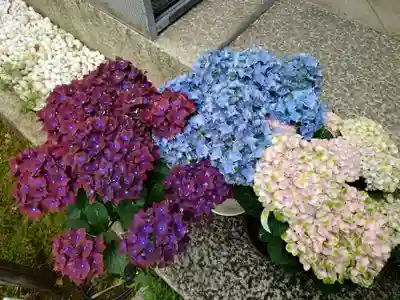 勝林寺(京都府)