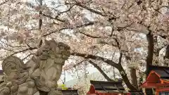 六孫王神社(京都府)