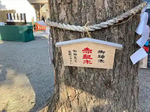 田無神社(東京都)