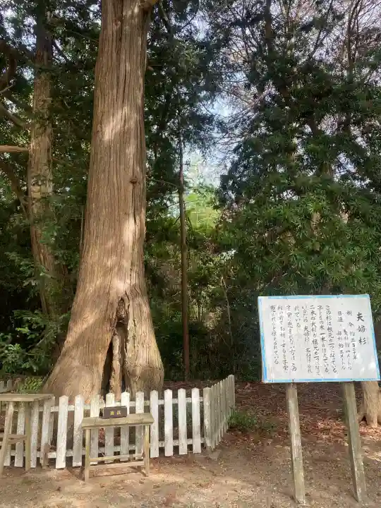 鎌数伊勢大神宮(千葉県)