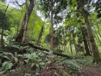 十和田神社(青森県)