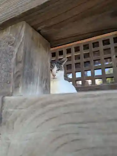 櫻山神社(岩手県)
