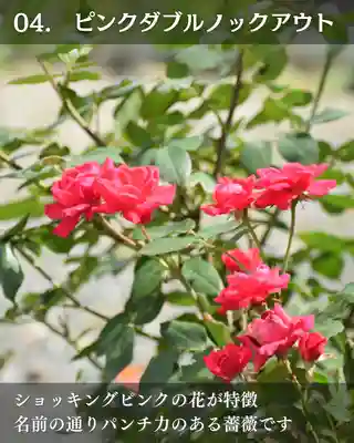 宝光寺(北海道)