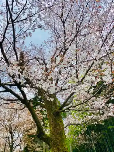 岩戸弘法弘峰寺の自然