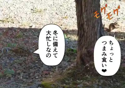 留辺蘂神社の動物