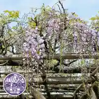 亀戸天神社(東京都)