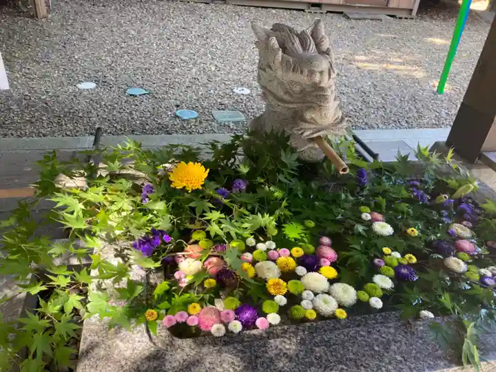滑川神社 - 仕事と子どもの守り神の手水舎