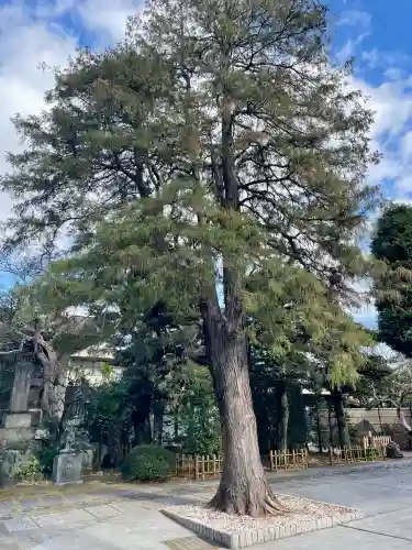 安養寺(東京都)
