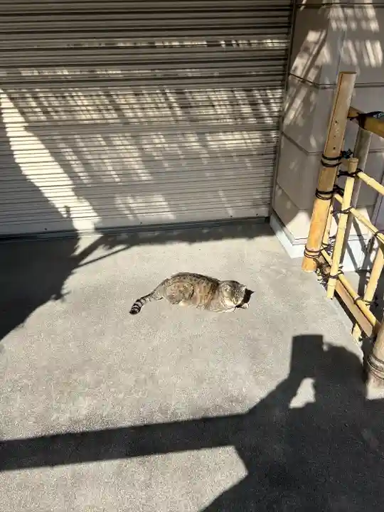 白金氷川神社の動物