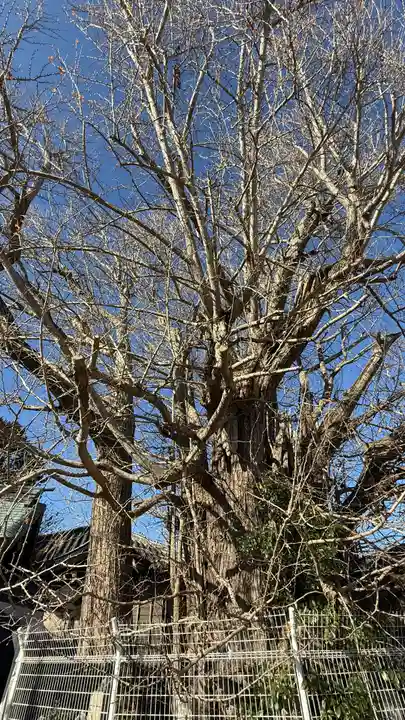 乳保神社(徳島県)