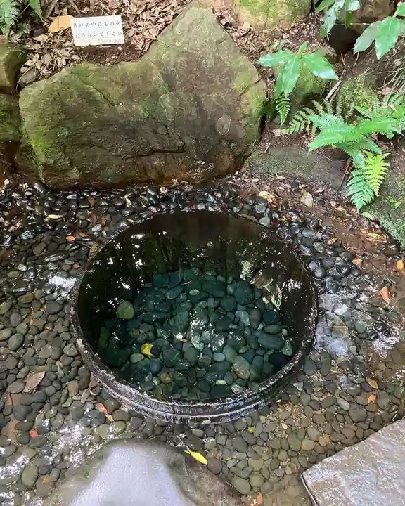 明治神宮(東京都)