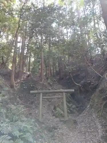 日向大神宮の鳥居