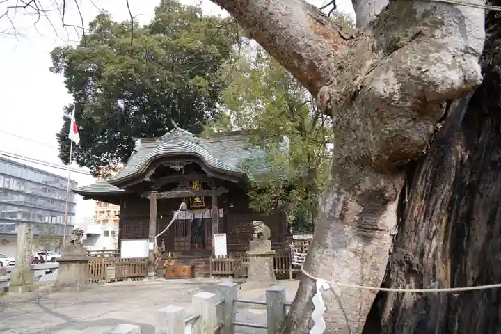 阿邪訶根神社の本殿・本堂