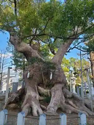 篠栗総鎮守 老松神社(福岡県)