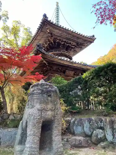 徳光院の狛犬