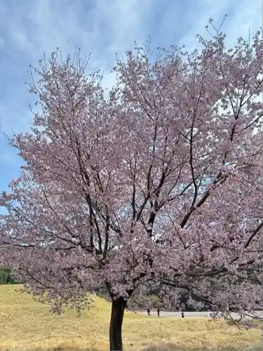熊野本宮大社(和歌山県)
