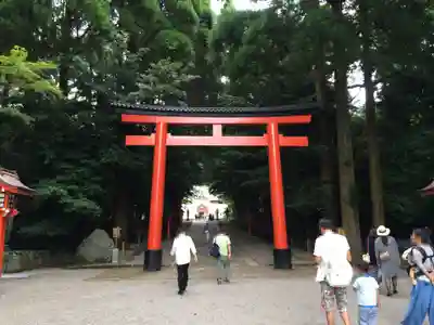 霧島神宮(鹿児島県)