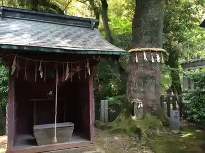 綿都美神社(福岡県)