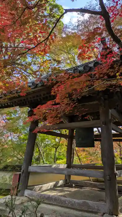 十輪寺(京都府)