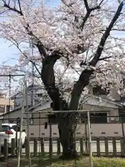 世直神社(福井県)