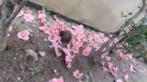 霊源院(京都府)