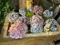 菊名神社の手水舎