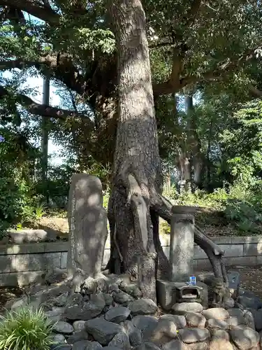 法華経寺奥之院(千葉県)
