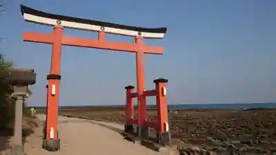 青島神社(青島神宮)の鳥居