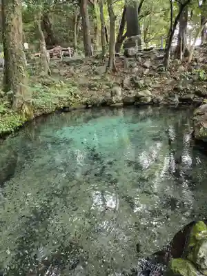 泉神社(茨城県)