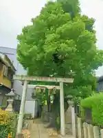 横田神社の鳥居