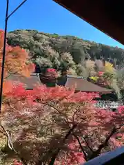 清水寺(京都府)