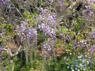 普門院(神奈川県)
