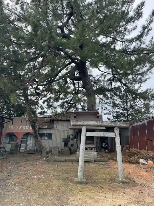 第六天神社の{uncategorized: "未分類", other: "その他", undefined: "問題あり", building: "その他建物", grave: "お墓", sacred_gate: "鳥居", guardian: "狛犬", statue: "像", buddha: "仏像", history: "歴史", nature: "自然", garden: "庭園", animal: "動物", pagoda: "塔", temizu: "手水舎", mountain_gate: "山門・神門", sanctuary: "本殿・本堂", subordinate: "末社・摂社", art: "芸術", scenery: "景色", jizo: "地蔵", ema: "絵馬", goshuin: "御朱印", omikuji: "おみくじ", items: "授与品その他", amulet: "お守り", goshuincho: "御朱印帳", eats: "食事", festival: "お祭り", votive_dance: "神楽", shichigosan: "七五三参", wedding: "結婚式", experience: "体験その他", initially: "初詣", around: "周辺", anti_infection: "感染症対策"}