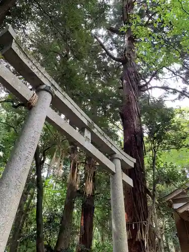 三之宮神社の鳥居