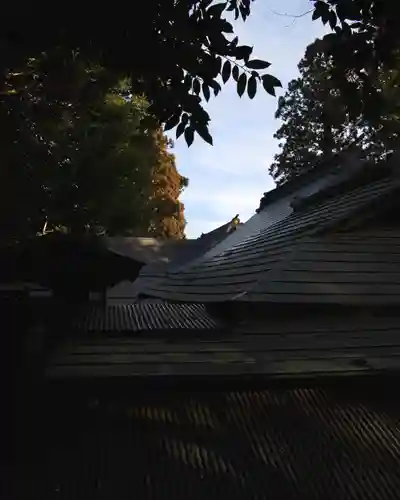 渋川八幡宮(群馬県)