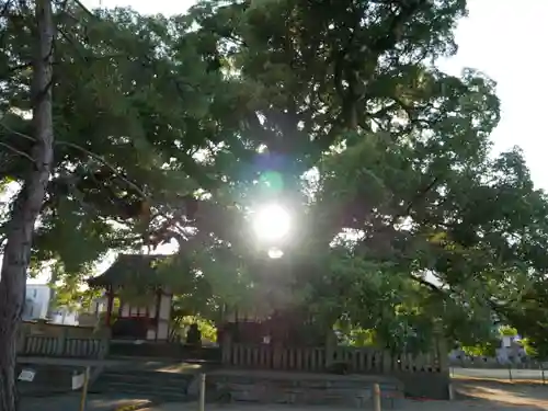 善通寺(香川県)