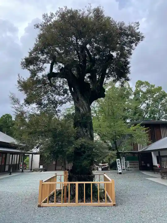 井伊谷宮(静岡県)