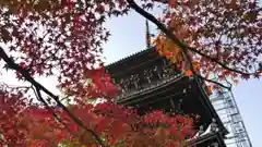 真正極楽寺（真如堂）の塔