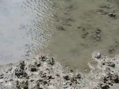 琵琶島神社(神奈川県)
