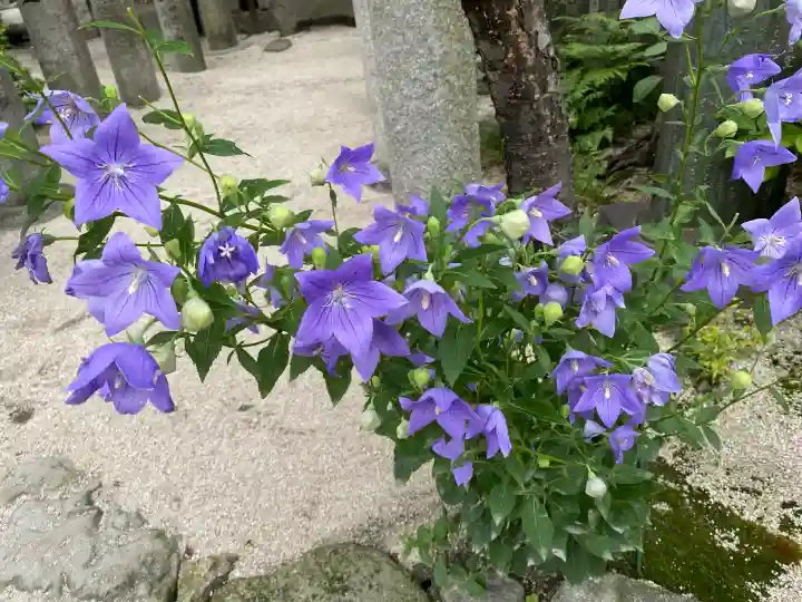 櫛田神社(福岡県)