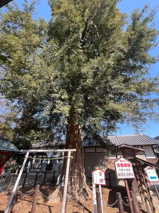白岡八幡神社(埼玉県)